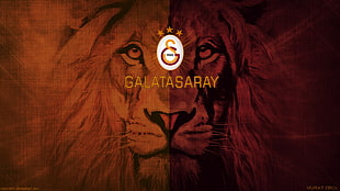 Galatasaray logo, Galatasaray S.K.