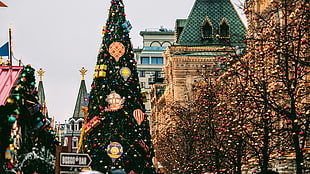 Christmas trees, Russia, Moscow, holiday, Red Square