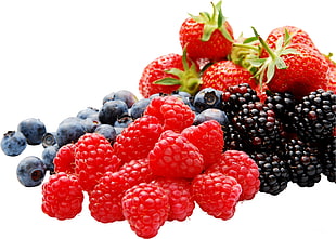 assorted berries HD wallpaper