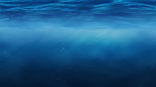 underwater photo HD wallpaper