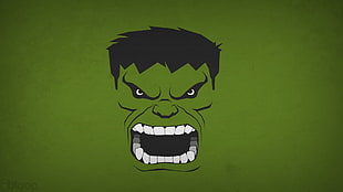 The Incredible Hulk illustration HD wallpaper
