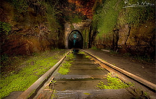 beige concrete train tunnel, photography, railway, tunnel, abandoned