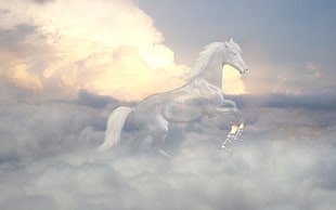 white horse above clouds at daytimeartwork