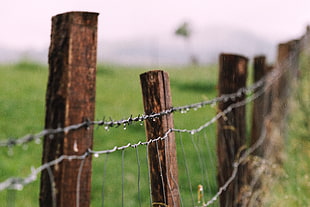 brown wooden fence, Barbed wire, Fence, Drops HD wallpaper