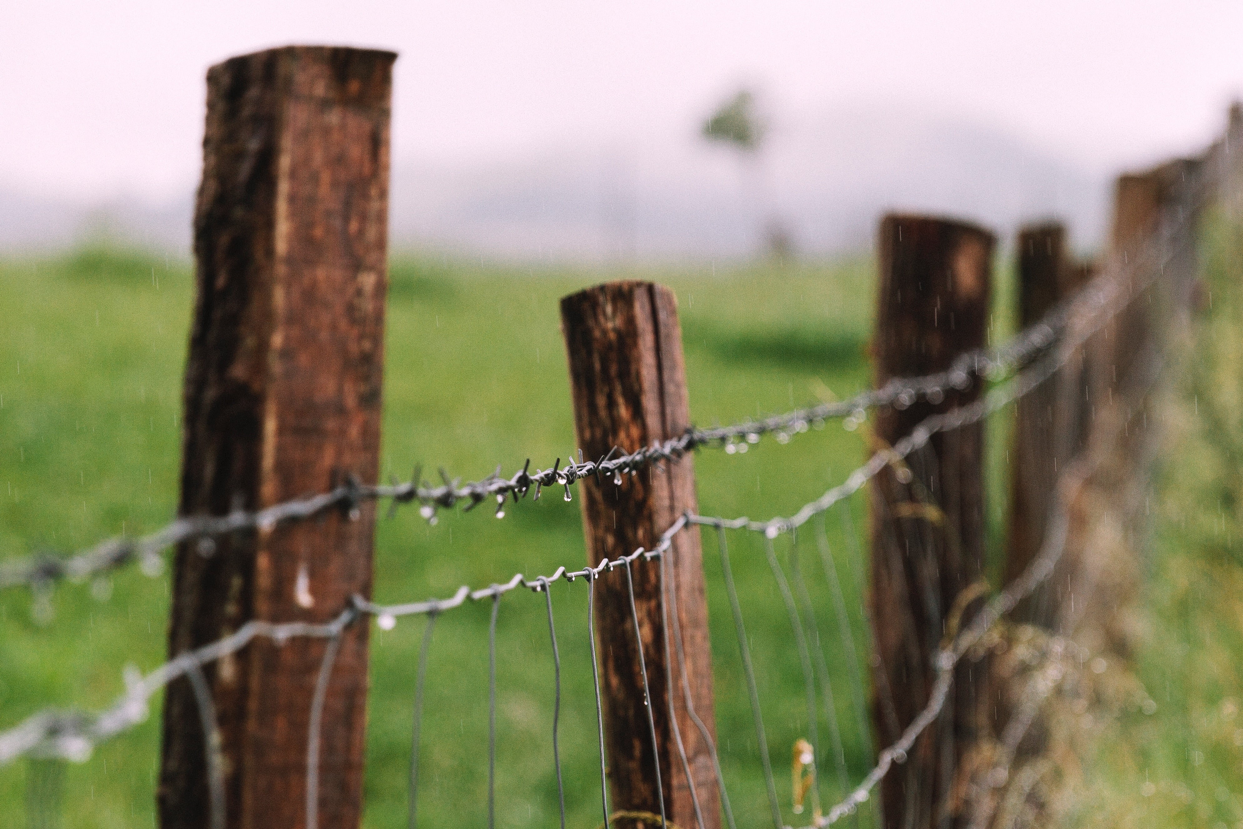 Brown wooden fence, Barbed wire, Fence, Drops HD wallpaper ...