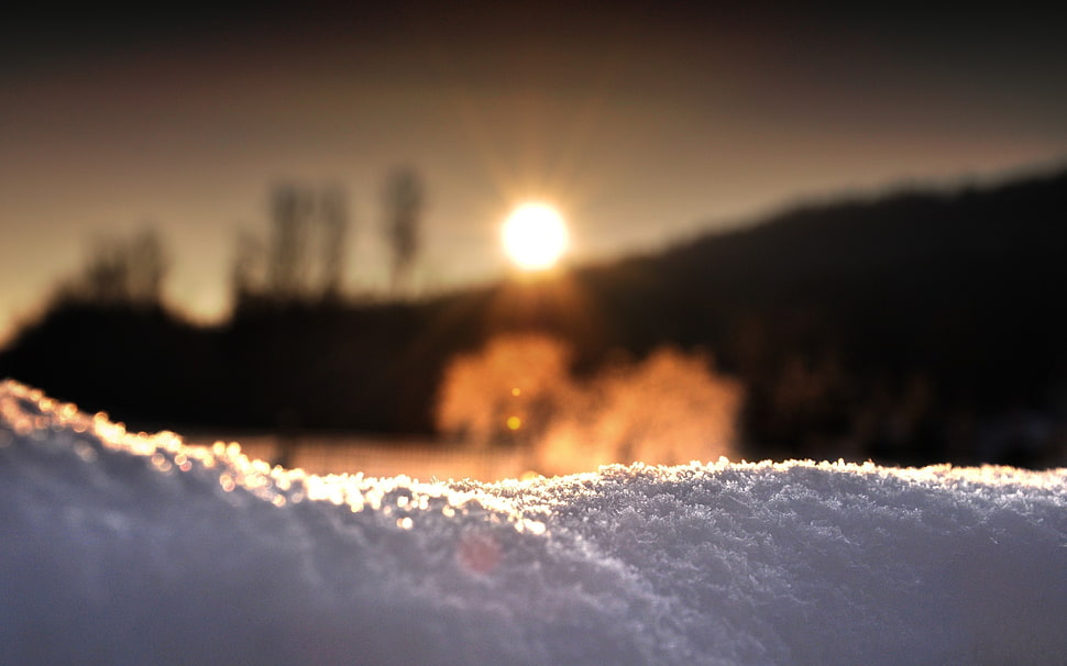 selective focus photo of snow HD wallpaper