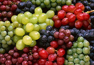 Grapes,  Variety,  Sweet,  Fruit