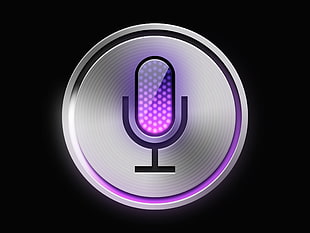 gray and purple microphone logo
