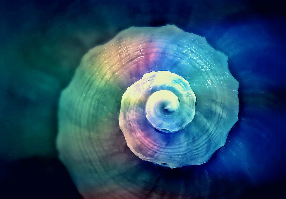 green, pink, and blue abstract illustration HD wallpaper