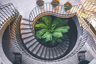 top view of spiral stair case HD wallpaper