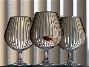 gold fish in cognac glass