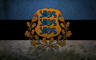 brown and blue flag, Estonia