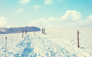 snowfield, landscape