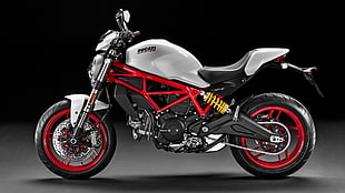 white and black Ducati naked sports bike