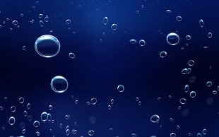 bubbles underwater illustration HD wallpaper