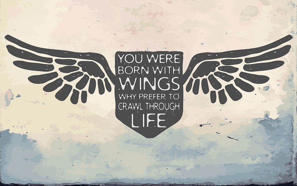 black wing logo, quote, typography, wings HD wallpaper