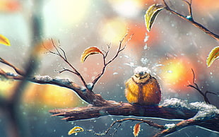 brown bird, birds, artwork, snow, branch HD wallpaper