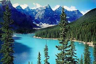 green pine trees in front of bodies of water and mountain, canada, moraine lake