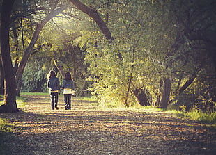 two children walking to the forest HD wallpaper