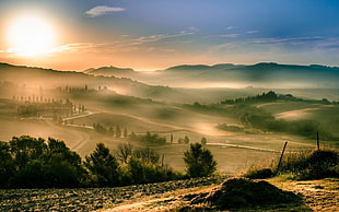green leafed trees, Tuscany, landscape, Italy, sunrise HD wallpaper