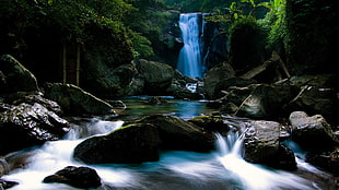 waterfalls, river, forest, rock