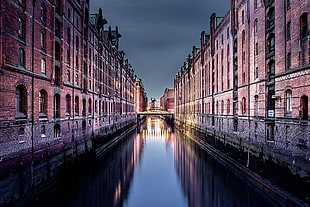 body of water, Hamburg, city HD wallpaper