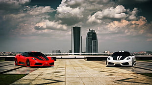 two assorted sports cars HD wallpaper