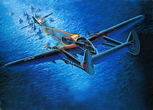 speeding white bi-plane wallpaper, air force, military aircraft, Northrop P-61 Black Widow, painting