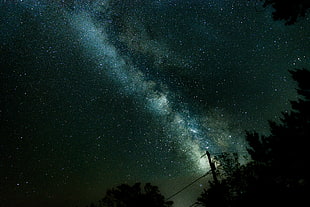 galaxy digital wallpaper, nature, stars, trees