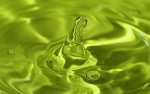 landscape photography of a green bodies of water