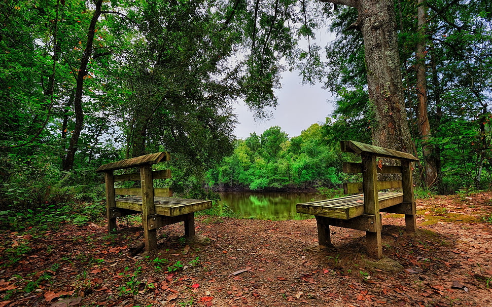 two brown wooden benches, nature, landscape, HDR, bench HD wallpaper