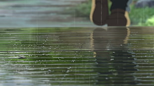 anime, The Garden of Words, Makoto Shinkai  HD wallpaper