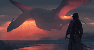 assassin and dragon graphics