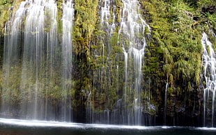 time lapse photography of waterfalls covered with trees