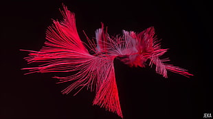 red wire illustration, 3D, render, Cinema 4D, Blender HD wallpaper