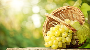 green grapes and brown wicker basket, food, grapes