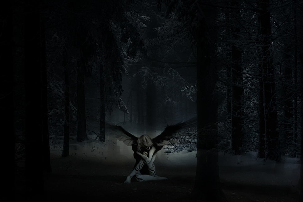 man in black suit jacket photo, forest HD wallpaper