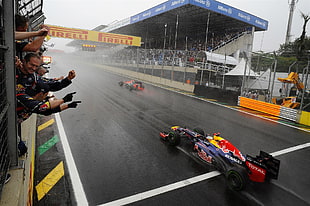 F1 cars on road at daytime, Formula 1, Red Bull, Red Bull Racing, rain HD wallpaper