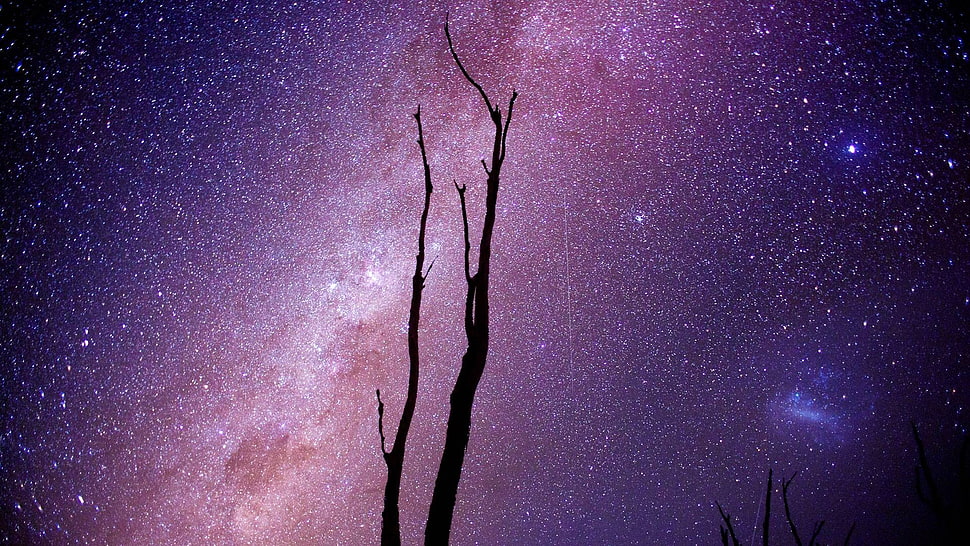 milky way galaxy digital wallpaper, space, stars, silhouette, space art HD wallpaper