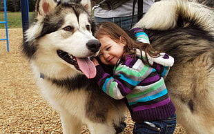 toddler wearing multicolored striped hoodie hugging Husky dog