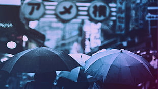 black umbrella, photography, filter, rain, Japanese umbrella