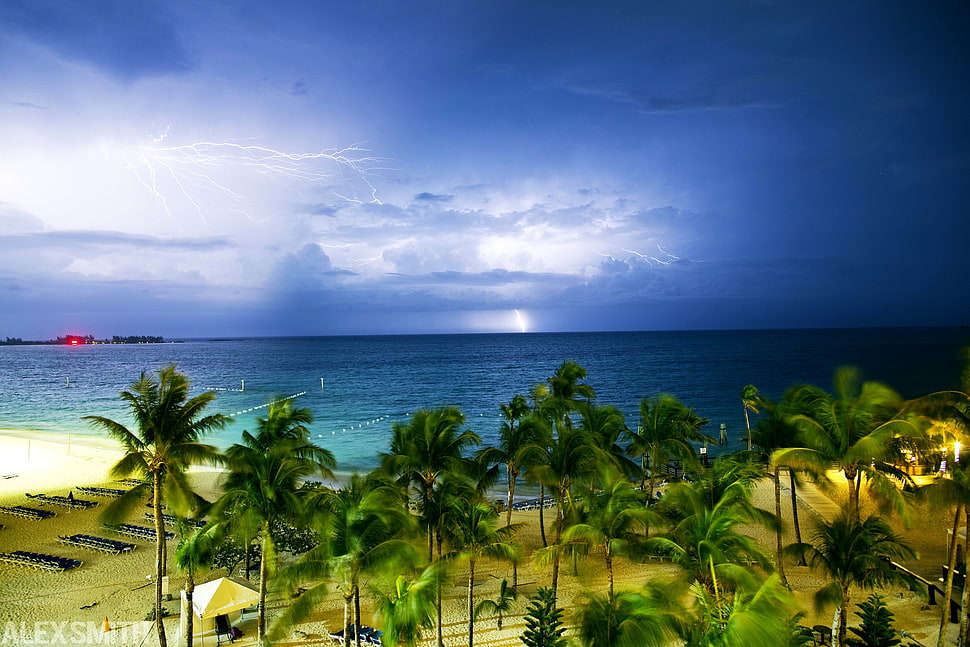 coconut trees, palm trees, clouds, lightning, sea HD wallpaper