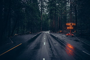 trees along side empty wet road with lighted sign on the side HD wallpaper