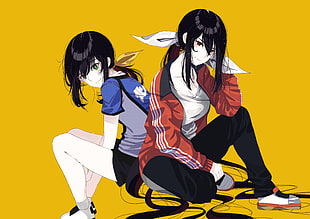 two female anime characters illustration, HANEBADO!, anime girls, Hanesaki Ayano, Hanesaki Uchika