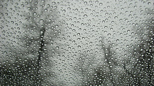 water droplets, water on glass, water drops, water, liquid