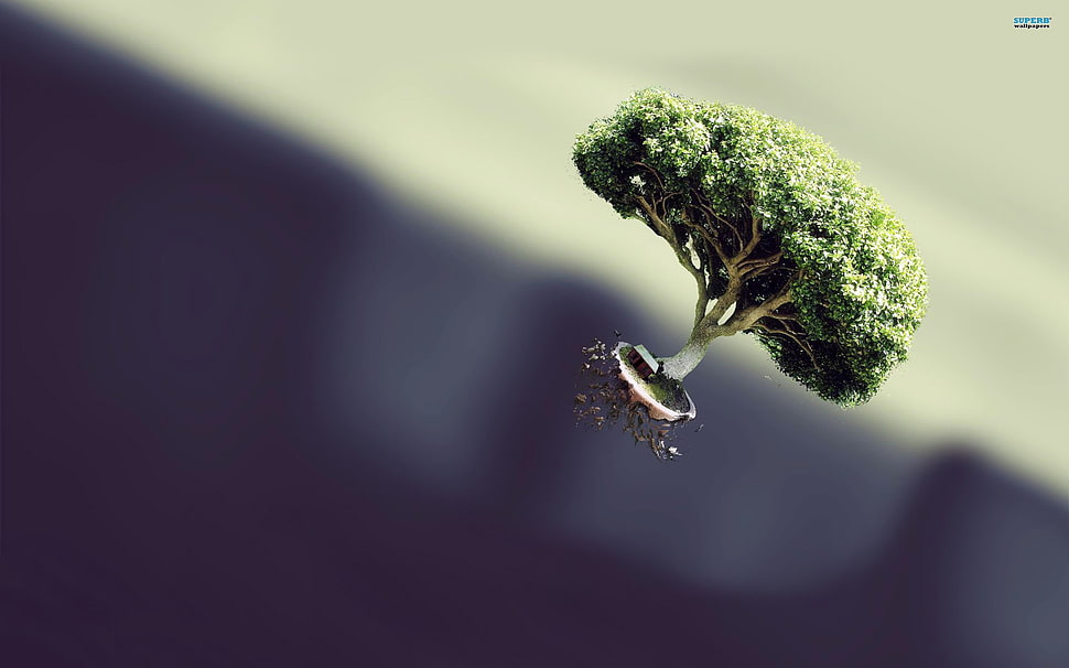 brown tree illustration, trees, digital art HD wallpaper