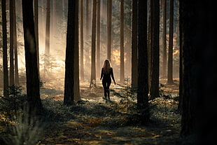 woman on forest photography