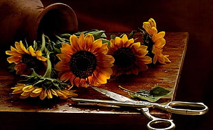 closeup photo of five yellow sunflowers on brown table