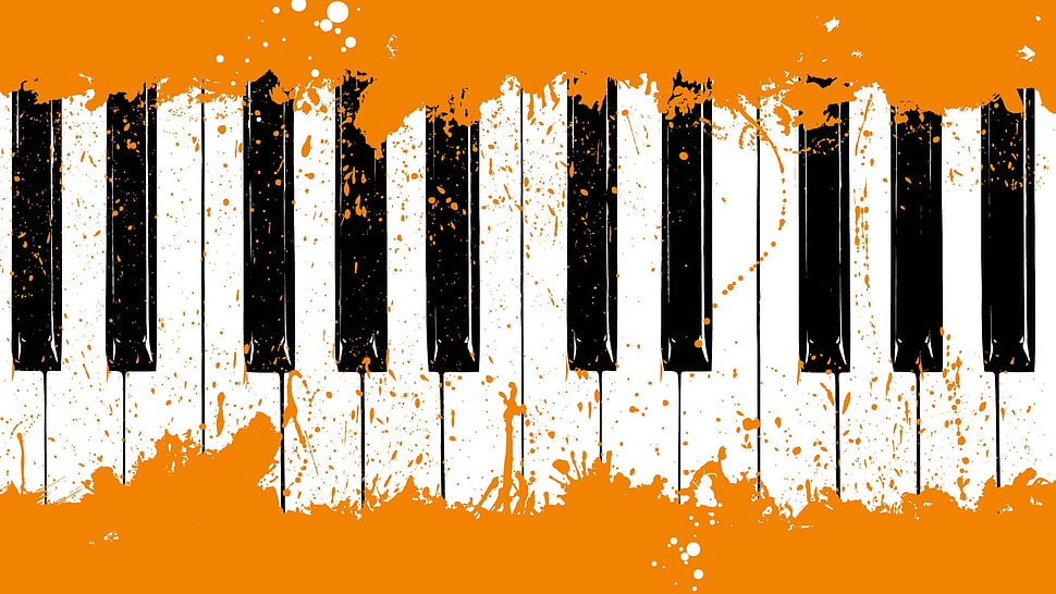 white and black electric keyboard HD wallpaper
