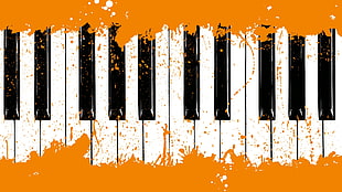 white and black electric keyboard HD wallpaper
